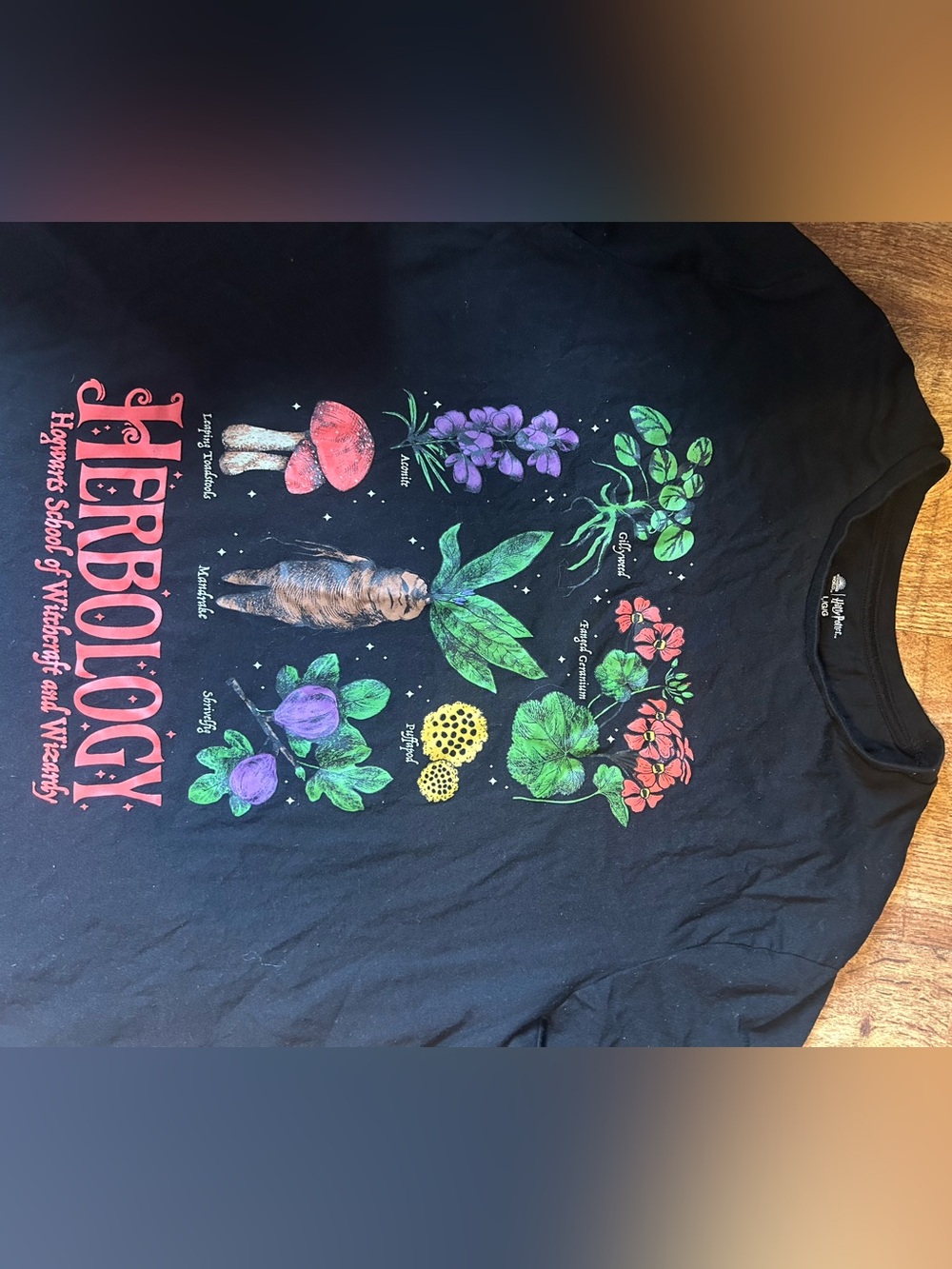 Herbology Graphic Tee - Black Floral Illustration